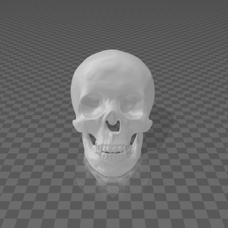 medio cráneo pared Arte esqueleto miedo Víspera Santos obsesionado fósil montar 3d print model - Mito3D