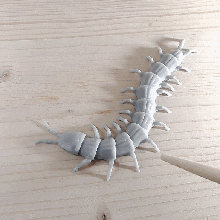 halloween flexible centipede quickest print 40 min print-in-place art scolopendra realistic spider toy articulated link links linkage poseable place flexi scary 3d print model - Mito3D