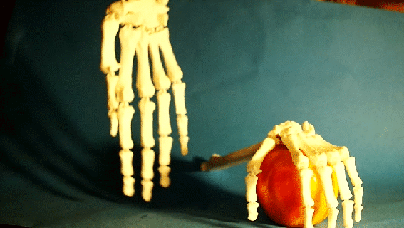 Halloween hand articulated Squelette drucken Ort flexi flexibel Verknüpfung Spielzeug artikuliert Hand Schädel Skelett einfach unterstützt Unterstützung frei zappeln Albtraum Verkleidung Dekor 3d print model - Mito3D