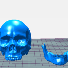 halloween skull art human head skeleton 3d print model - Mito3D