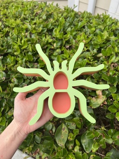 halloween spider tray print place 3d print model - Mito3D