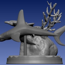cabeça martelo Tubarão 3d print model - Mito3D