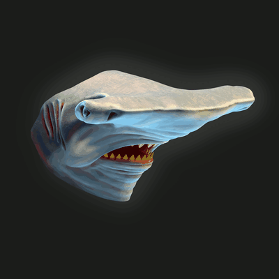 martillo tiburón máscara pez disfraz víspera santos monstruo cosplayer colección fauna peligroso oceano be río agua submarino prehistórico naturaleza animal 3d print model - Mito3D