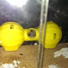 hamster igloo la maison les animaux de compagnie 3d print model - Mito3D