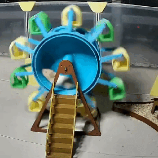 criceto correre ruota gigante girante giocattoli 3d print model - Mito3D