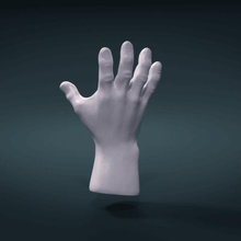 hand art palm arm anatomy man human part limb 3d print model - Mito3D