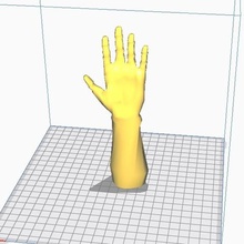 mão a arte carcaça humanos 3d print model - Mito3D