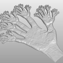 hand Kunst 3d print model - Mito3D