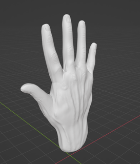 Hand Hand Hand Finger Körper Frau Fingernagel Körper Hand 3d print model - Mito3D