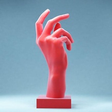 hand 10 snap art posed anatomy human fingers realism 3d scan 3d print model - Mito3D