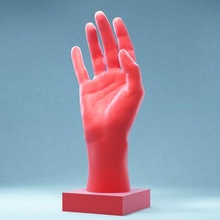 main 1 détendu art posé anatomie Humain doigts réalisme 3d analyse 3d print model - Mito3D
