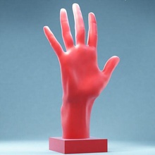 el 2 standart Sanat poz anatomi insan parmaklar gerçekçilik 3d taramak 3d print model - Mito3D