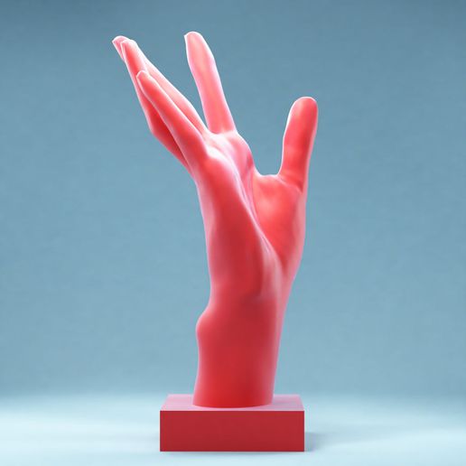 hand 4 stretched art posed anatomy human fingers realism 3d scan 3D print model - Mito3D