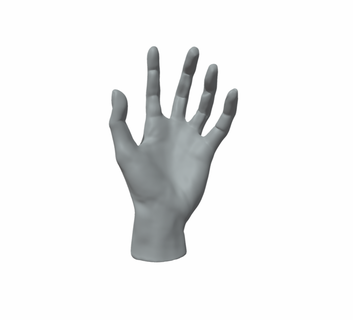 hand female anima hand hands anatomy woman female sculpt sculpture scan zbrush gift  3d print model - Mito3D