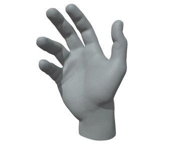 hand male stl anima print scan sculpt sculpture anatomy human hands 3d print model - Mito3D