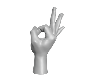 hand okay ok anima hands anatomy sculpt sculpture scan zbrush right mano 3d print model - Mito3D