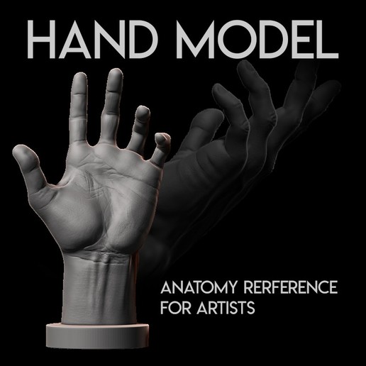 mano riferimento Riferimenti 3d modello anatomia scultura arte artista Modelli 3D print model - Mito3D