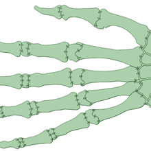 les mains de squelette decoracion dizfraz outil le déguisement 3d print model - Mito3D