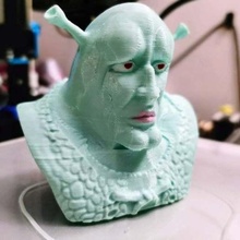 hermoso shrekward Arte húmedo memes calamardo shrek Bob Esponja esculturas 3d print model - Mito3D
