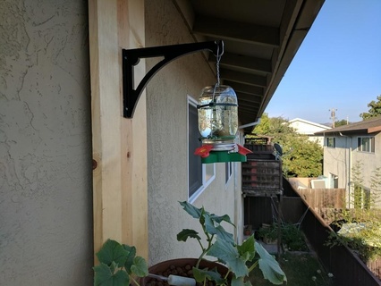 hanging basket birdfeeder bracket hook mod bird feeder hummingbird outdoor garden 3d print model - Mito3D