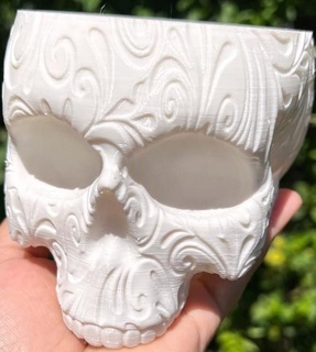 sospeso cranio pentola asilo spettrale terrario arte 3d print model - Mito3D