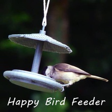 happy bird feeder various manger distributor garden art tit sparrow decoration 3d print model - Mito3D