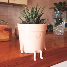 happy face flowerpot pot plants deco decoration 3d print model - Mito3D