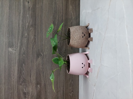 glücklich gesicht topf schimmel beton pflanzen garten häuser wasser 3d drucken robert pflanze 3d print model - Mito3D