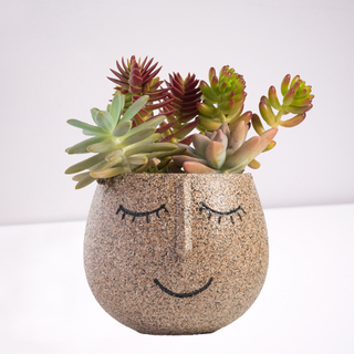 happy potted pot plant cups glass vessels vases succulents pots glasses tree plants garden robert 3d print model - Mito3D