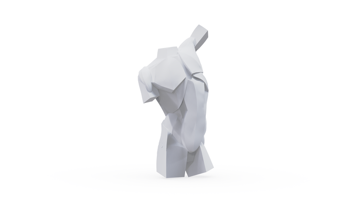 difícil superficie torso 3d print model - Mito3D