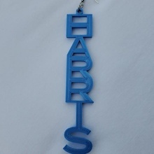 harris drop earring jewelry biden earrings election democrat 3d print model - Mito3D