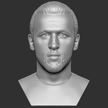 Harry kane fallimento 3d stampa 3d print model - Mito3D