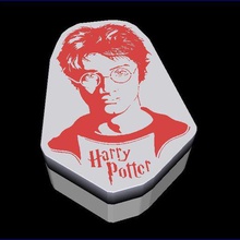 harry potter box storage jewel 3d print model - Mito3D
