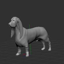 haspapi basset chien animal compagnie 3d print model - Mito3D
