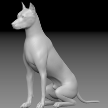 hd cão a arte doberman animais do sexo masculino feminino 3d print model - Mito3D