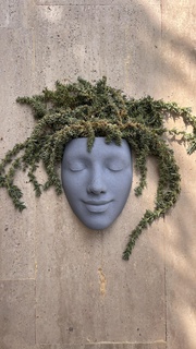 cabeça flor Panela vaso cara mulher 3d print model - Mito3D