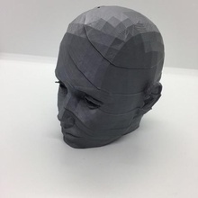 kafa poli düşük sanat yüz 3d print model - Mito3D
