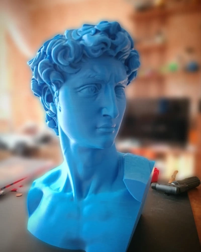 head of michelangelo's david art bust michelangelo florence sculpture art design interior 3d print model - Mito3D