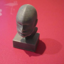 head planemodeling art sculptures 3d print model - Mito3D