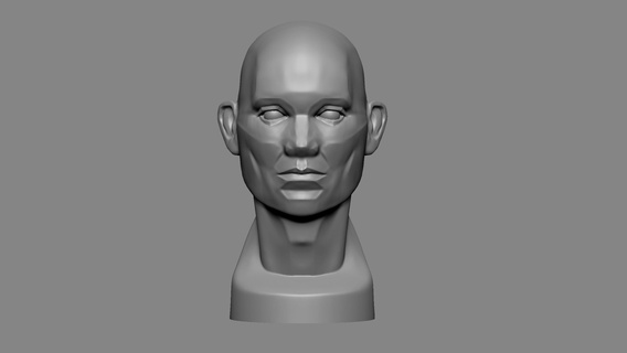 head planes anatomy human 3d print model - Mito3D