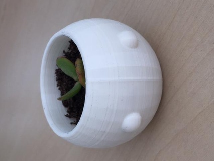 testa pianta pentola casa giardinaggio divertente piccolo teste 3d print model - Mito3D