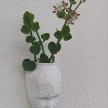 cabeza de maceta - colgar en la pared lowpoly casa florero bloquea flor suculentas jardín 3d print model - Mito3D