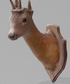 baş karaca geyik 3d print model - Mito3D