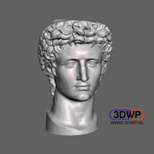 head roman emperor augustus 3d scan art 123d 123dcatch catch ancient meshmixer sculpture statue vatican scans replicas 3d print model - Mito3D