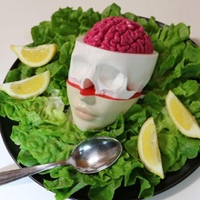 head skull brain art morphology 3d print model - Mito3D