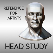 baş ders çalışma referans Referanslar 3 boyutlu model anatomi kötü heykel Sanat sanatçı büst 3d print model - Mito3D