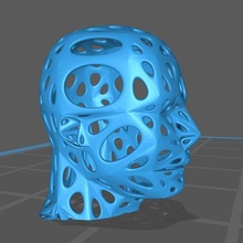 cabeça Voronoi arte 3d print model - Mito3D