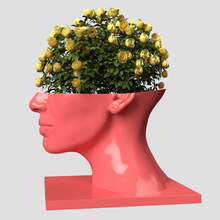 head woman vase various plant nature flower 3d print model - Mito3D