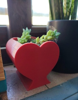 heart shaped flor maceta minimalismo decoración diseño plantas 3d print model - Mito3D
