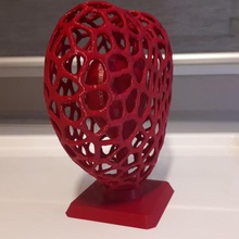 kalp çeşitli 3d print model - Mito3D